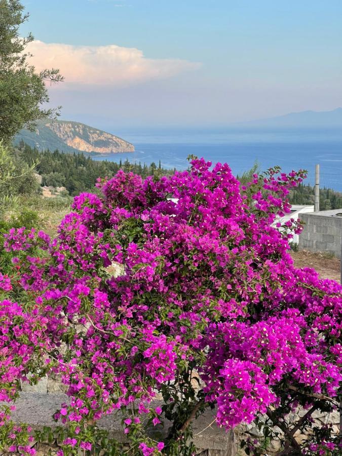 Solomon&Sons Ξενοδοχείο Dhërmi Εξωτερικό φωτογραφία